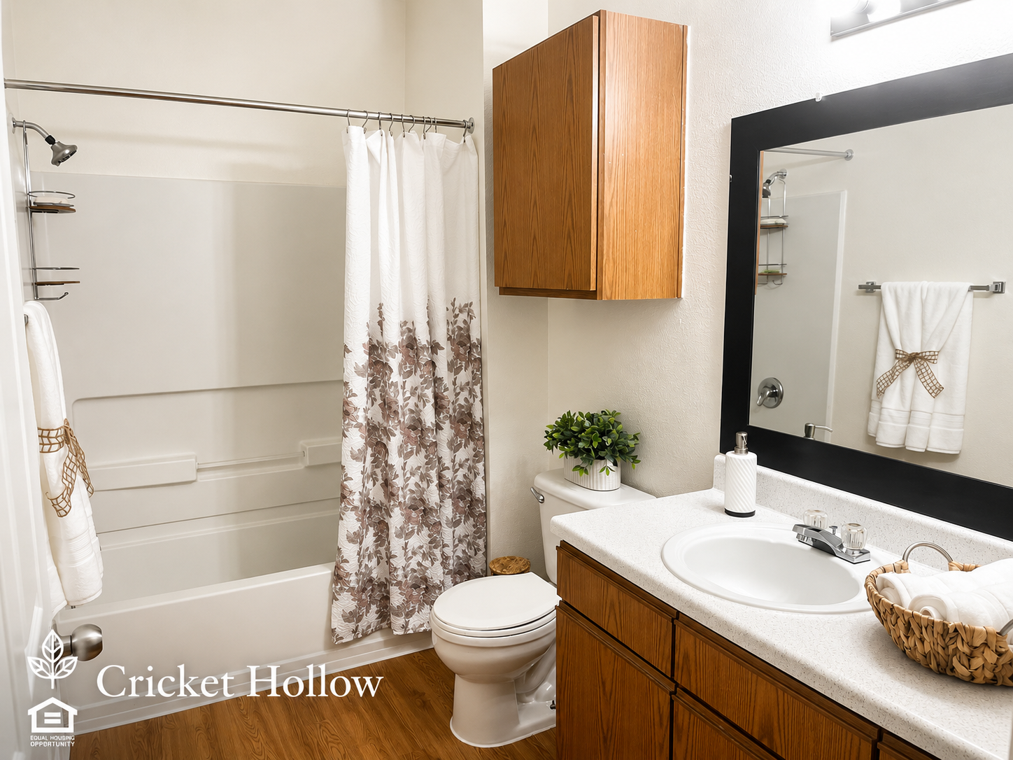 Cricket Hollow Gallery 9